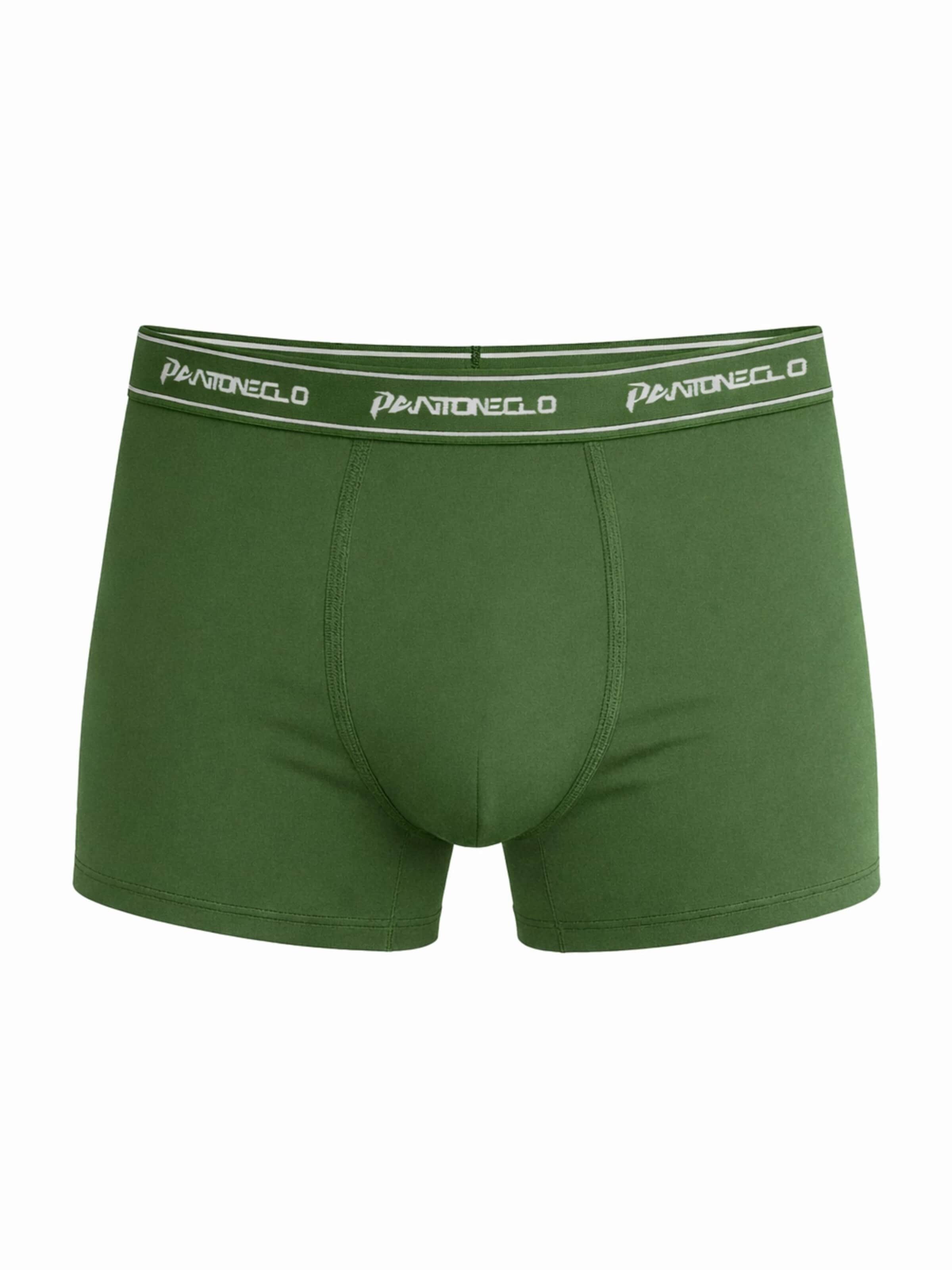 PANTONECLO Boksershorts 'Pantoneclo Men’s Boxer Underwear' i grøn: forside