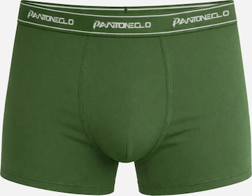 PANTONECLO Boxer shorts 'Pantoneclo Men’s Boxer Underwear' in Green: front