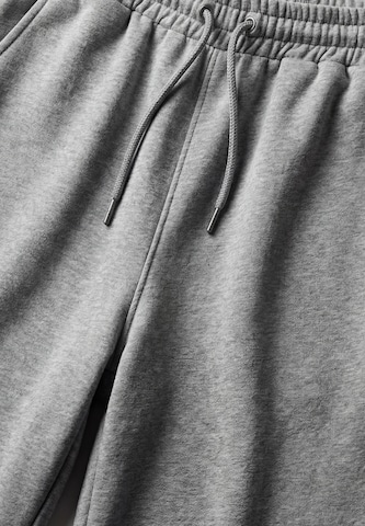 faina - regular Pantalón 'Fashion Look' en gris