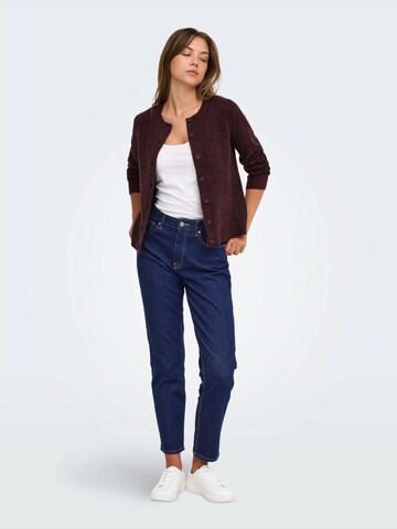 Regular Jean ONLY en bleu