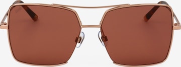 Occhiali da sole 'WE0210' di Web Eyewear in marrone: frontale