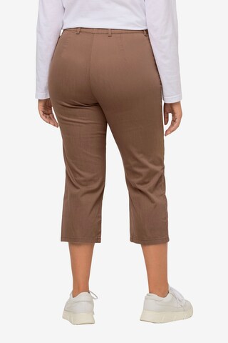 Ulla Popken Slimfit Hose 'Mony' in Braun