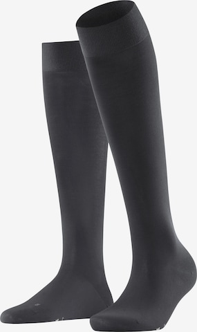 FALKE Overknee Strümpfe 'Vitalizer' in Grau: Vorderseite