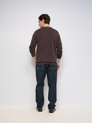 Salsa Jeans Trui in Bruin