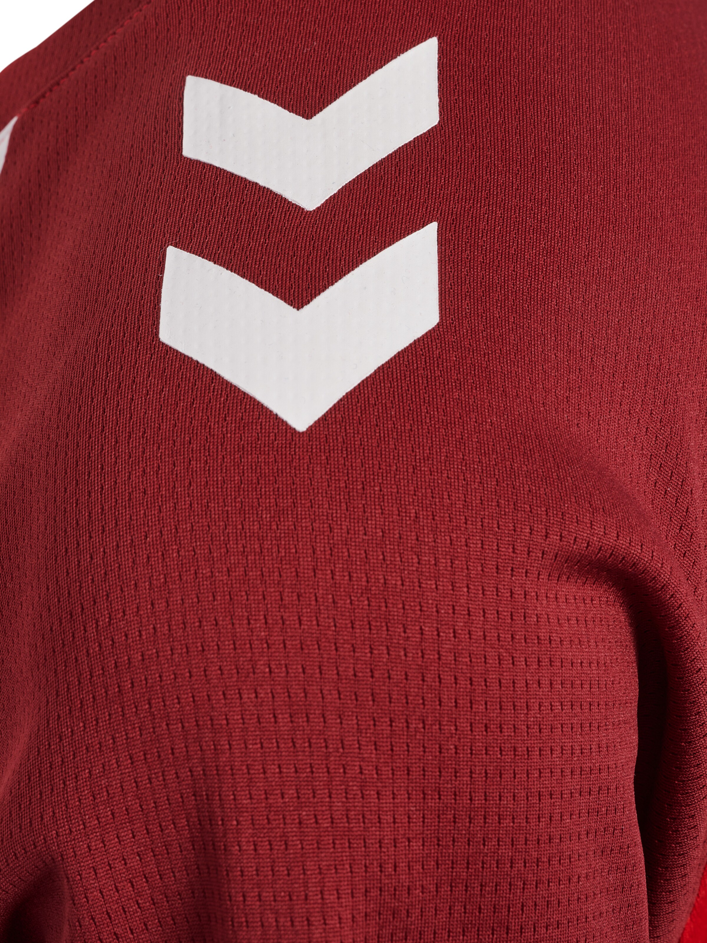 Hummel Sportshirt 'Lead 2.0' in Rot