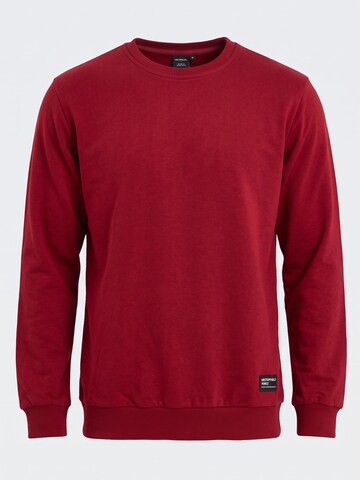 comeor Sweatshirt 'Sweatshirt Herren' in Red: front