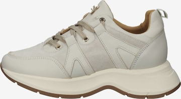 SCAPA Sneaker in Beige