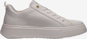 SALAMANDER Sneakers in White