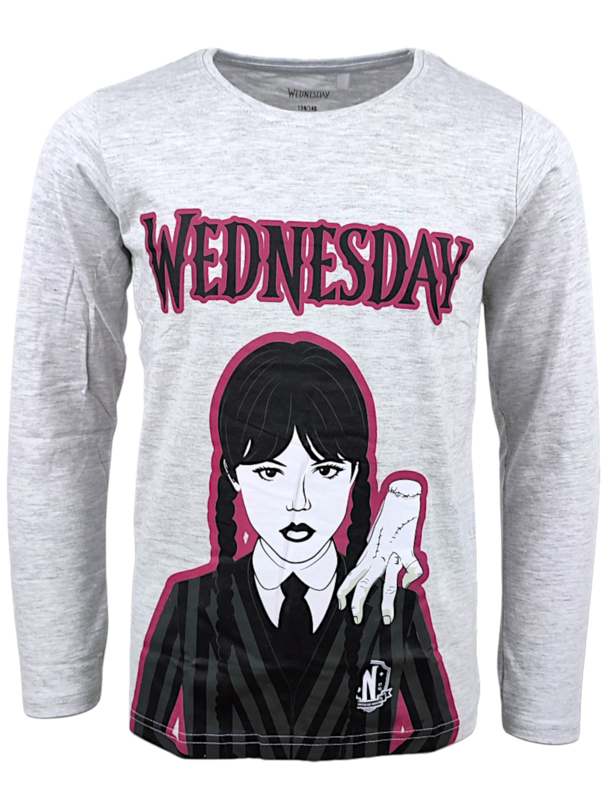 Wednesday Shirt 'Wednesday Langarmshirt' in Grey: front