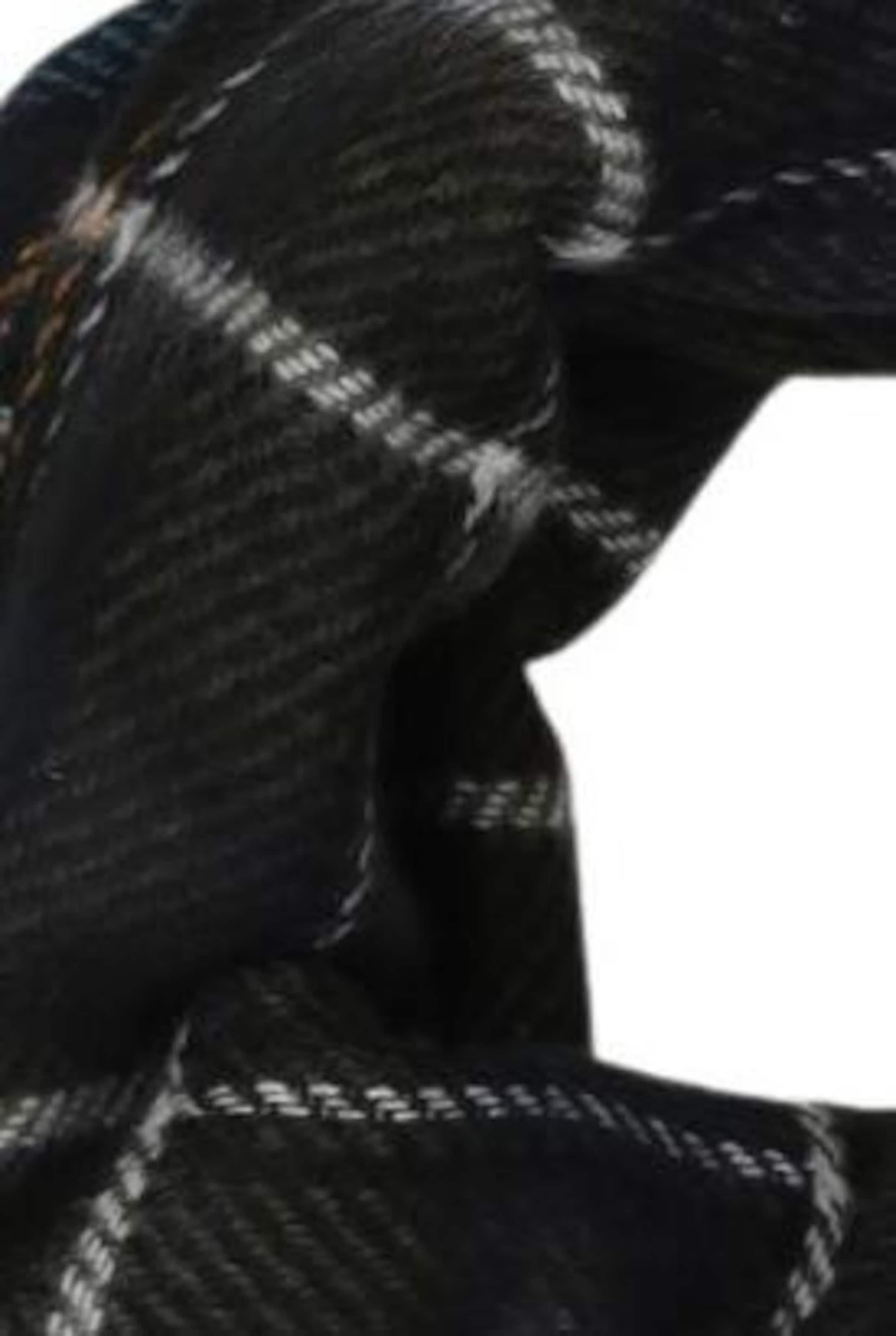 s.Oliver Scarf & Wrap in One size in Mixed colors