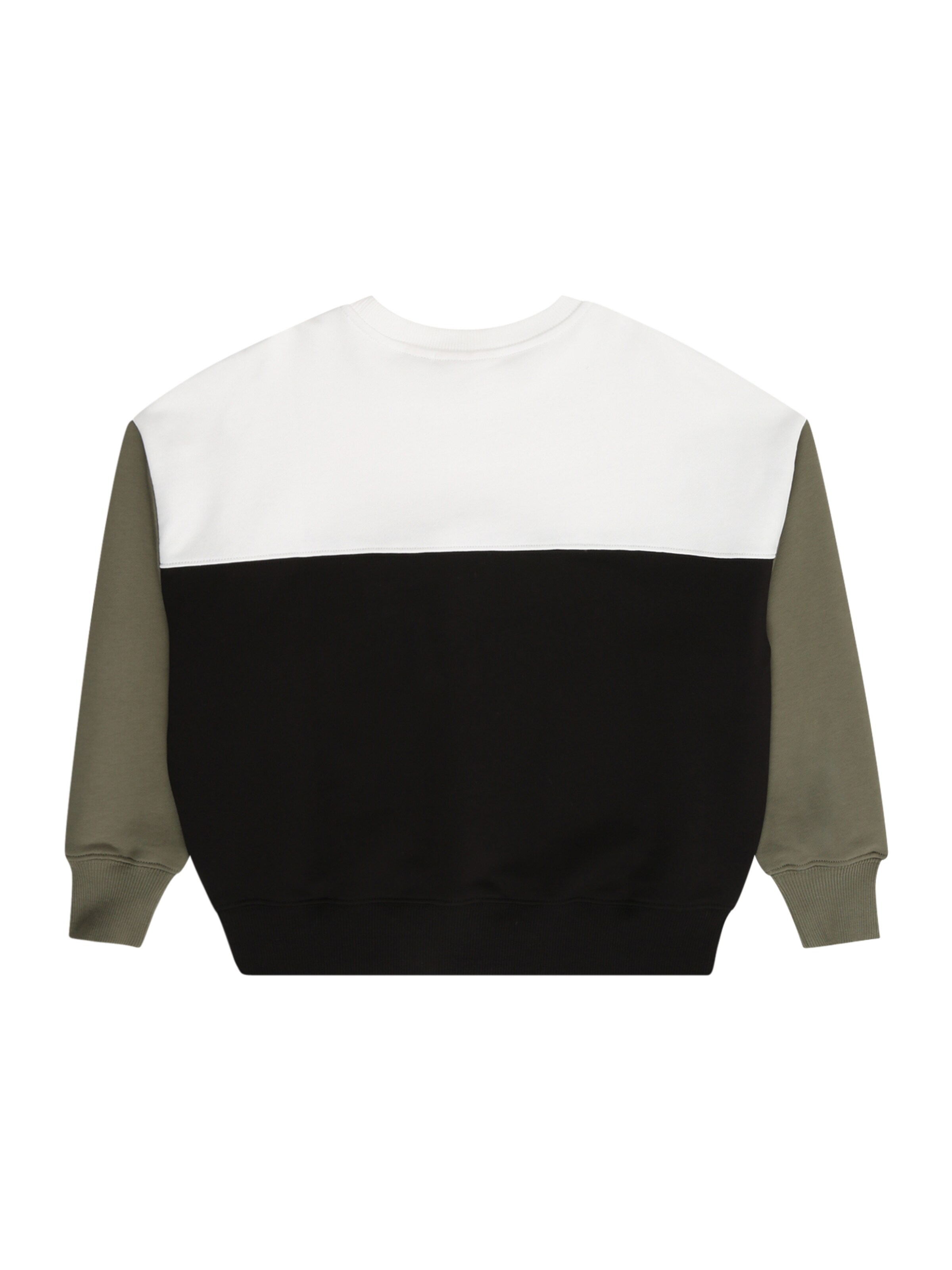 Calvin Klein Jeans Sweatshirt in Schwarz