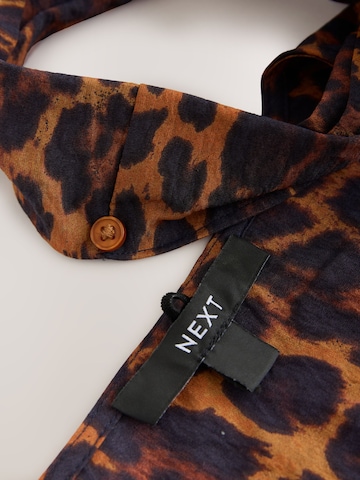 Next Dress in Brown