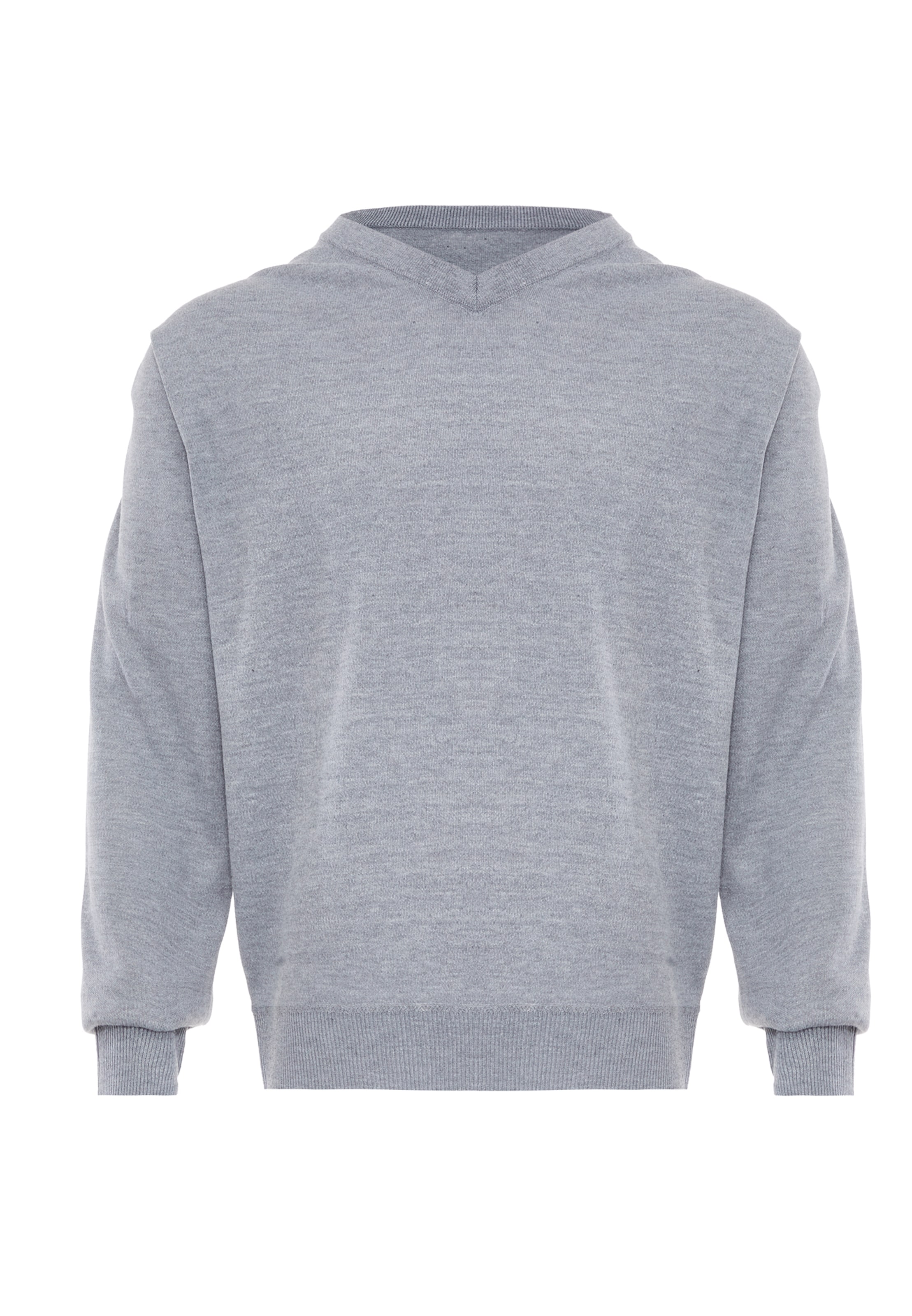 ALEKO Pullover in Grau: Vorderseite