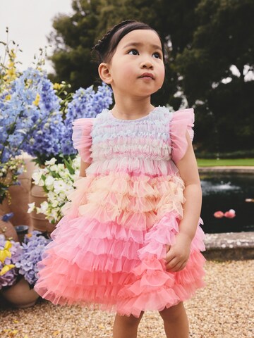 Next Dress in Mixed colours: front