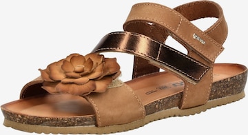 IGI&CO Sandale in Braun: Vorderseite