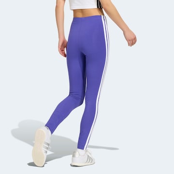 purpurinė ADIDAS SPORTSWEAR Siauras Sportinės kelnės 'Essentials'