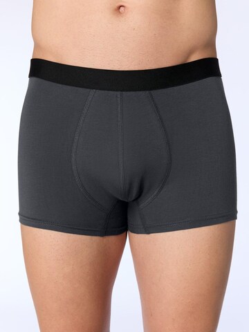 Albero Natur Boxershorts 'Herren Trunkshorts aus Bio-Baumwolle'‌‌ in Grau: Vorderseite