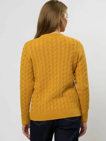 U.S. POLO ASSN. Svetr 'Madeline' – zlatá