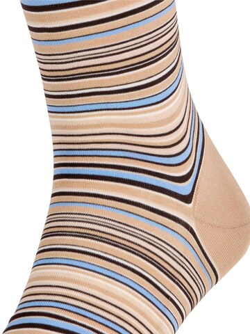 FALKE Kniestrümpfe 'Microblock'‌‌‌‌‌‌‌‌‌‌ in Beige