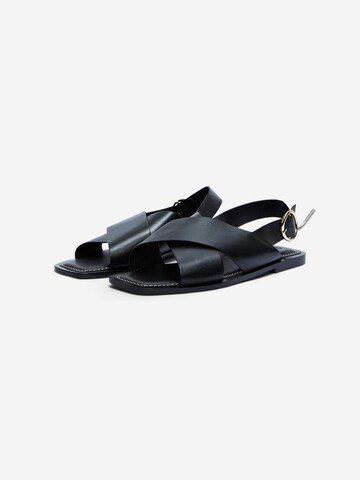 SELECTED FEMME Sandals 'Edda' in Black