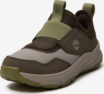 TIMBERLAND Sneaker i beige: framsida