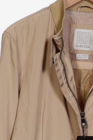 GEOX Jacket & Coat in L in Beige
