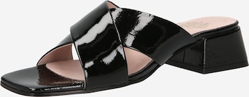 Apple of Eden Mules 'Valley' in Black: front