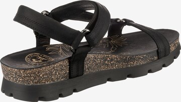 PANAMA JACK Sandalen met riem 'Sandra' in Zwart