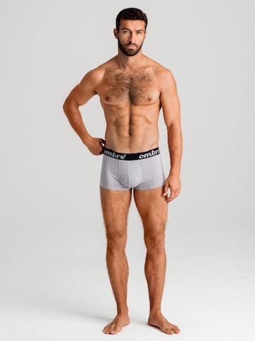 pilka Ombre Boxer trumpikės