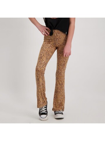 CARS Baggy Trousers in Brown: front