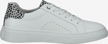 BULLBOXER Sneaker in Weiß