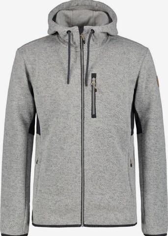 ICEPEAK Athletic Fleece Jacket 'BRANDON' in Grey: front