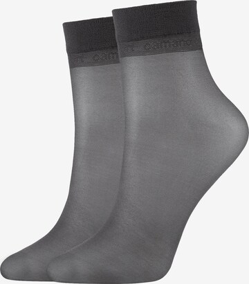 camano Fine Stockings in Grey