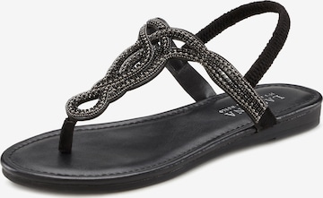 LASCANA - Sandalias en negro: frente