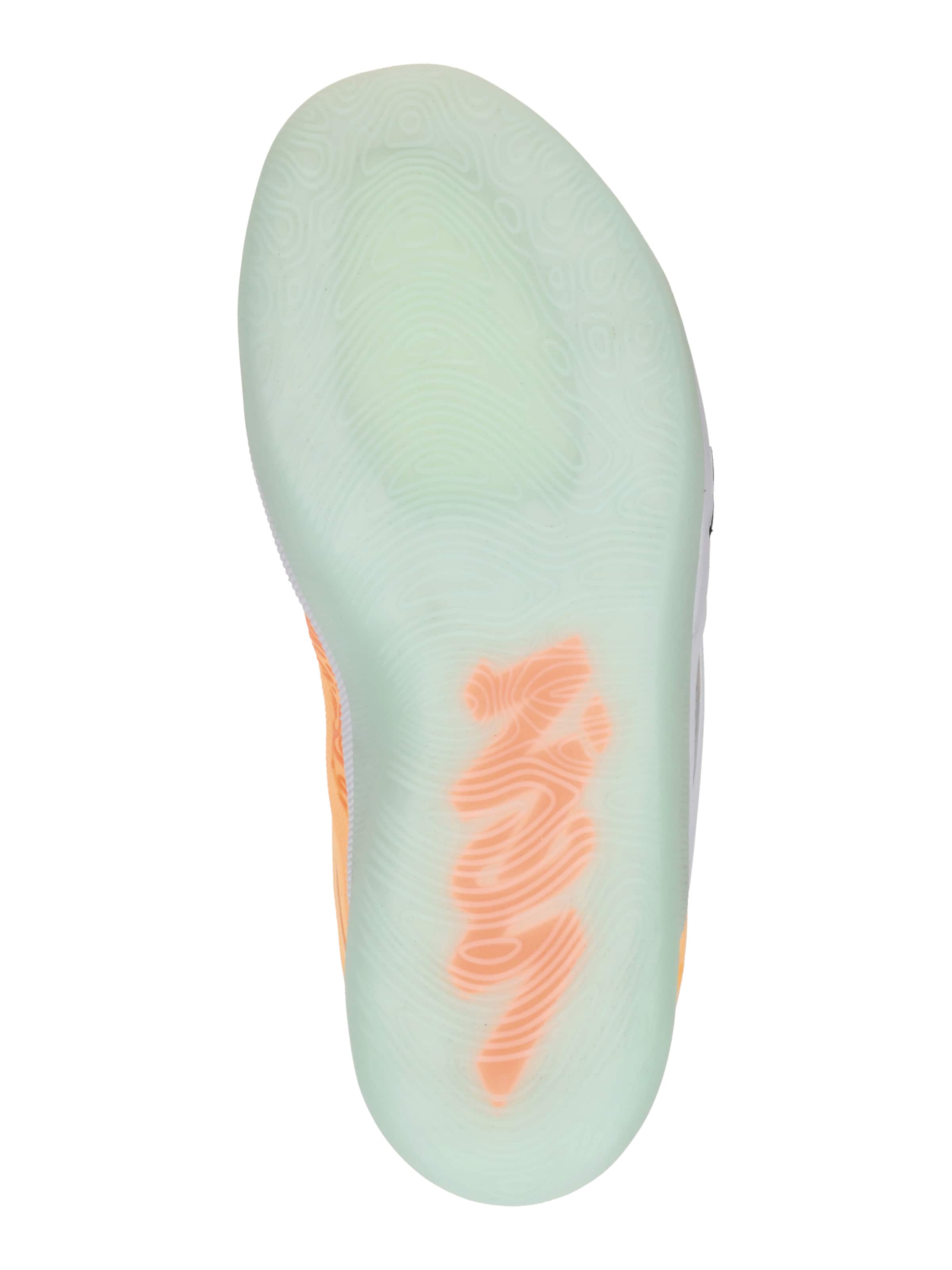 Jordan Sportssko 'ZION 4' i orange: bund