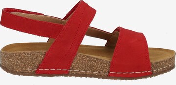 JOSEF SEIBEL Sandale 'Hannah 02' in Rot