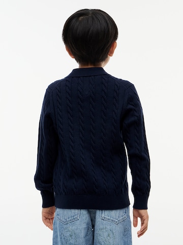 TOMMY HILFIGER Sweater in Blue