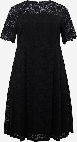 Dorothy Perkins Curve Cocktail Dress in Black: front