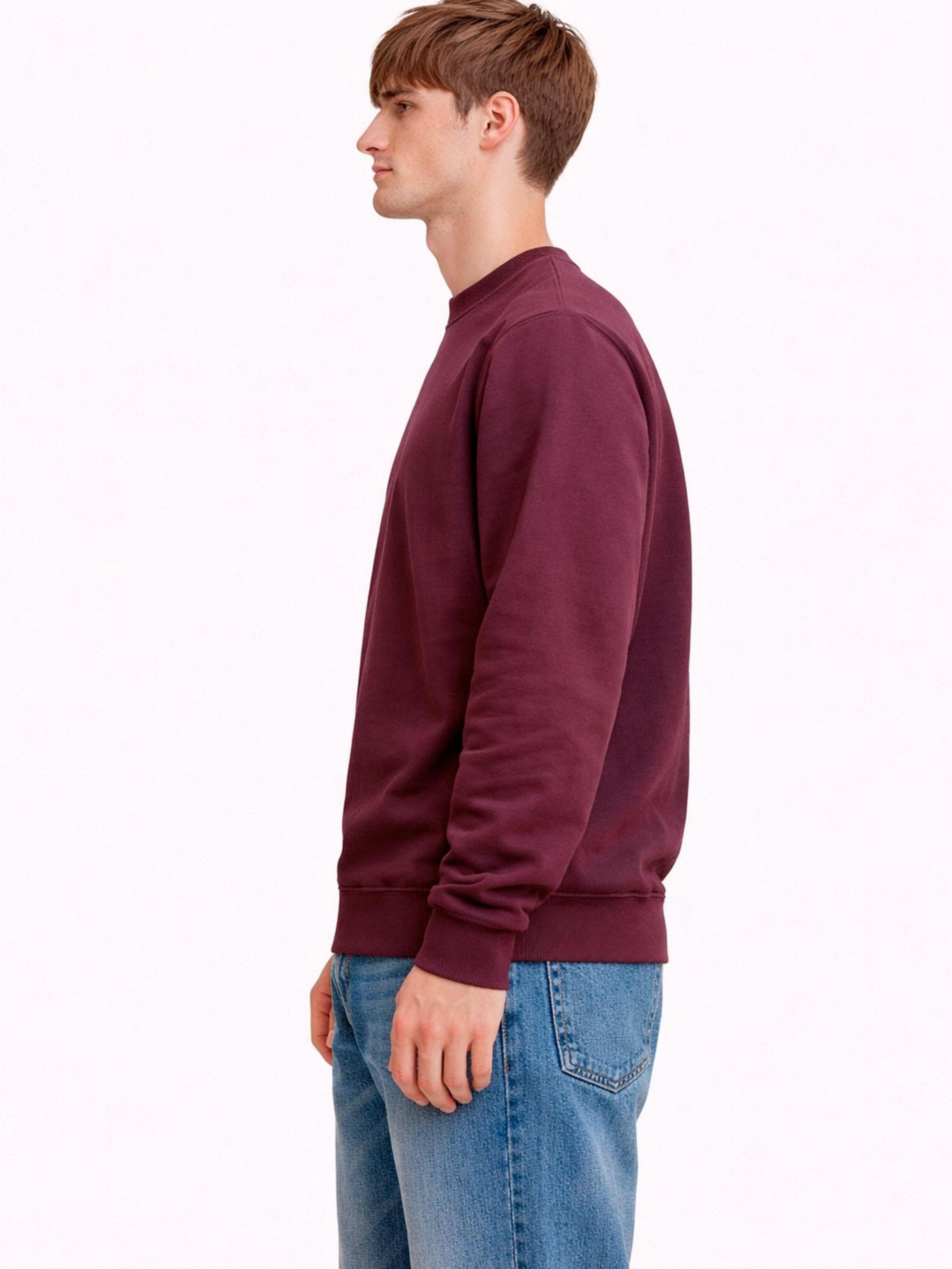 A Question Of (AQO) Sweatshirt 'Johannes' in Lila