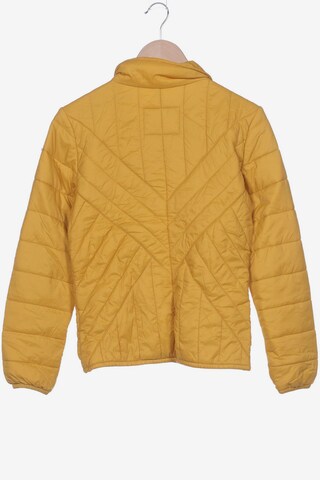 DREIMASTER Jacket & Coat in M in Yellow