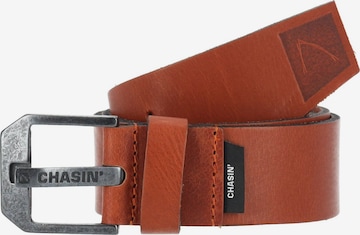 Ceinture ' Mason ' CHASIN' en marron : devant