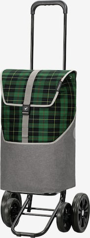 Andersen Shopper Shopper 'Gese' in Green: front