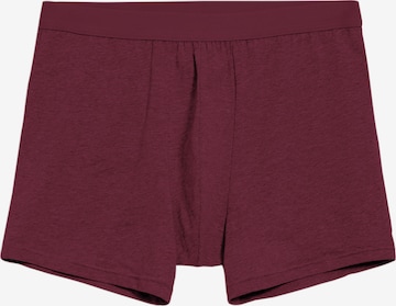 Boxers 'Ricaard' ARMEDANGELS en rouge : devant