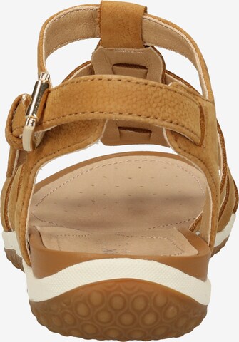 GEOX Sandals in Brown