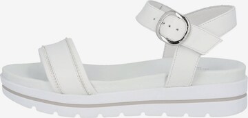 Nero Giardini Sandals 'E307812D' in White
