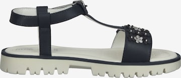 GEOX Sandalen in Blauw