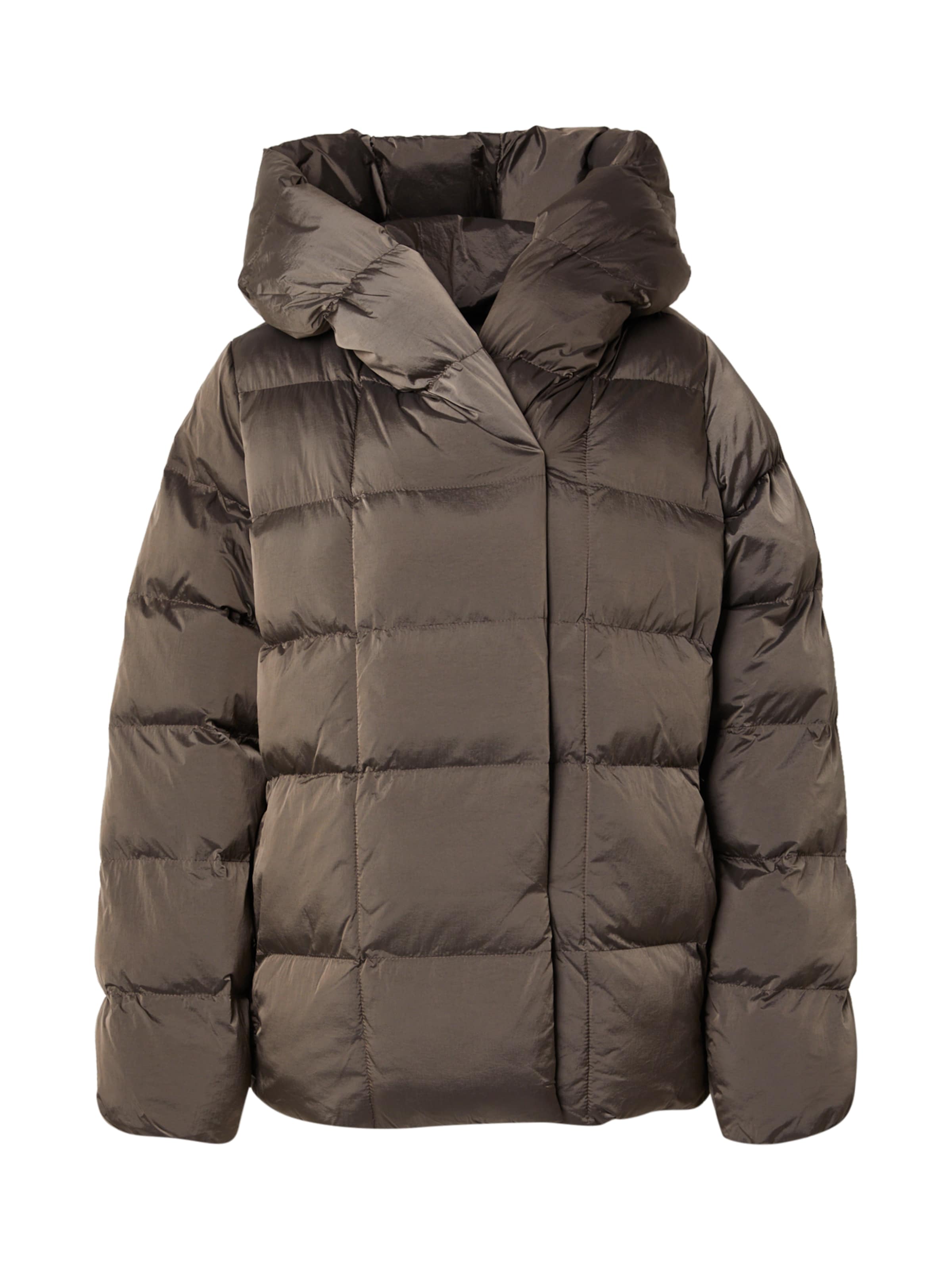 brūns Calvin Klein Ziemas jaka: no priekšpuses