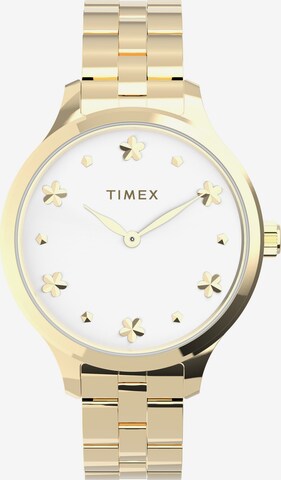 Orologio analogico 'PEYTON' di TIMEX in oro: frontale