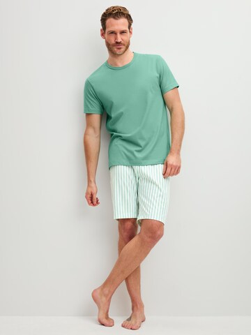 CALIDA Pyjama kurz 'Relax Easter'‌‌‌‌‌‌ in Grün: Vorderseite