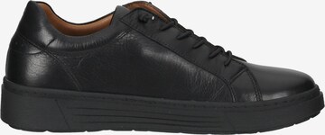 Baskets basses HUSH PUPPIES en noir